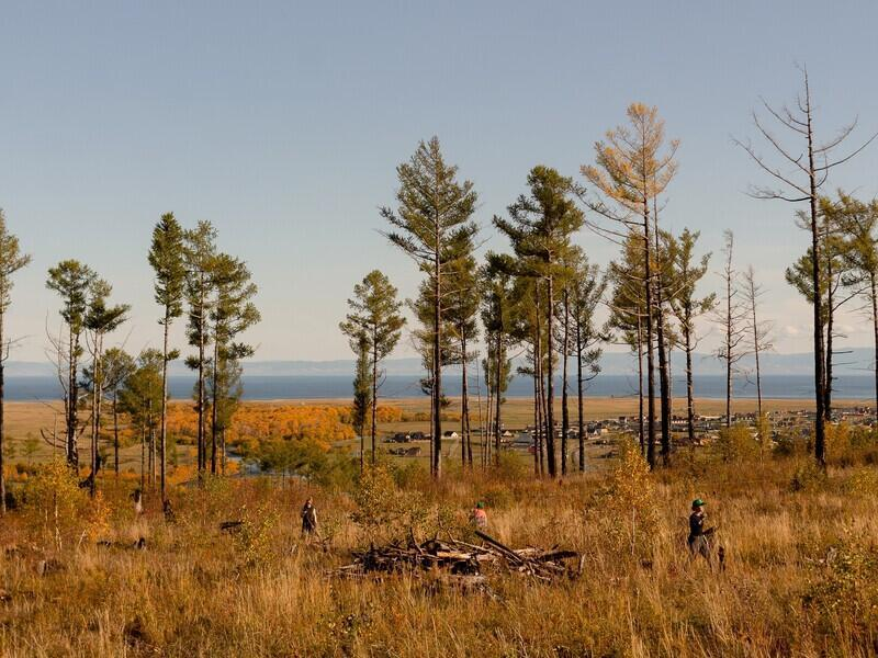 © Фото: фонд «Подари планете жизнь»