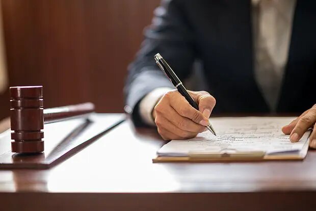    Фото: lenta.ru Николь Соколова