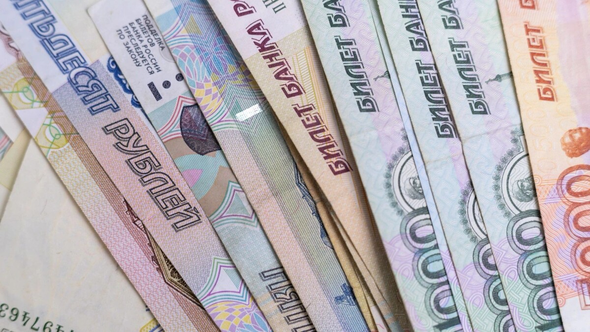    Фото: Сергей Зубков/«Ямал-Медиа»