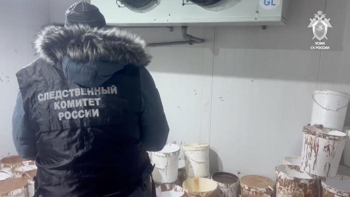 Обложка © Telegram / Следком