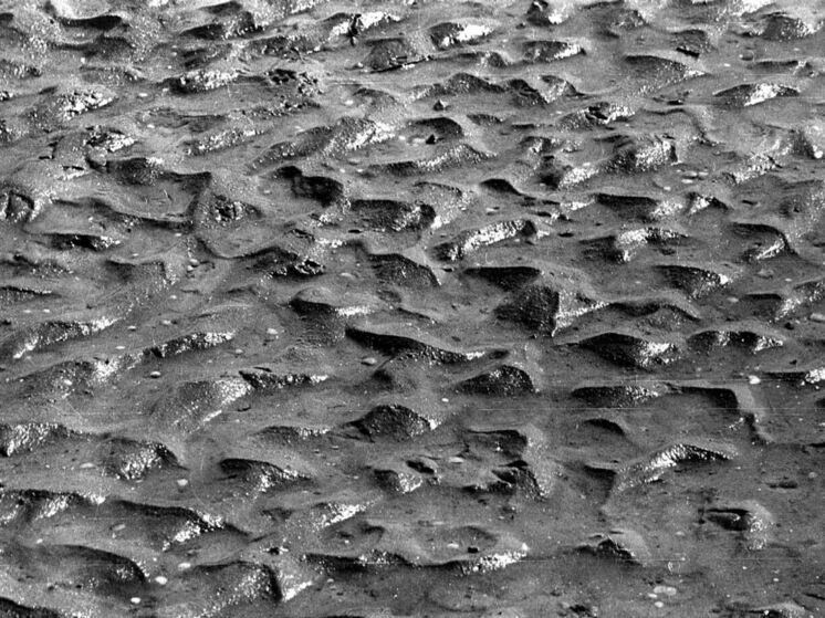     Фото: Геннадий Черкасов