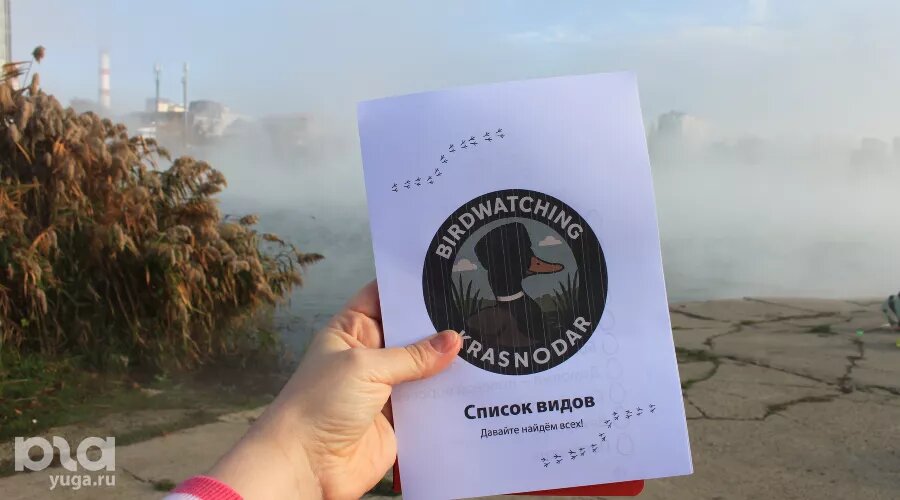   Фото Марины Солошко, Юга.ру