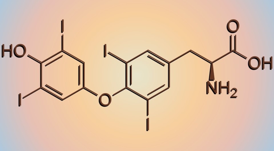   Emeldir / Wikimedia Commons / Public Domain