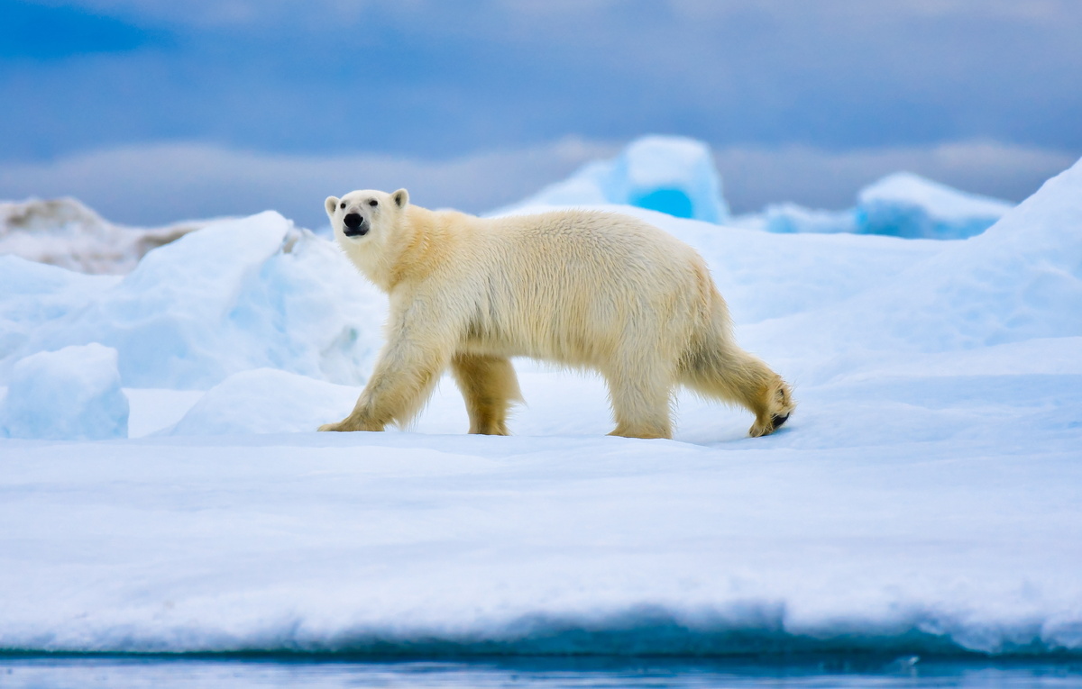 Юрий Смитюк/ТАСС