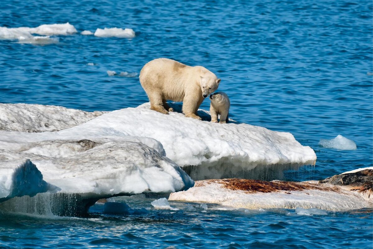 © Юрий Смитюк/ ТАСС