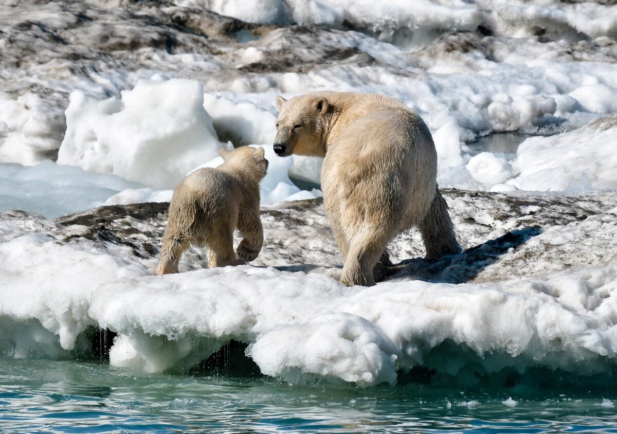 © Юрий Смитюк/ ТАСС