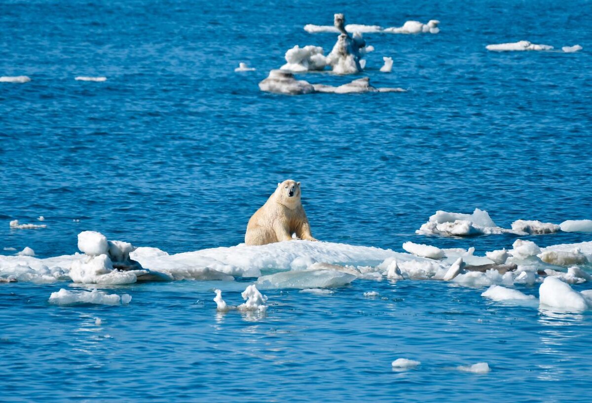 © Юрий Смитюк/ ТАСС