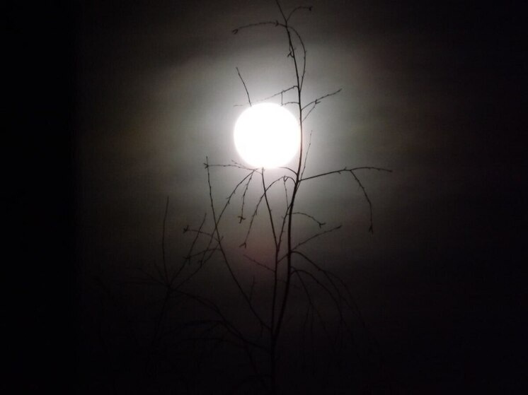     Многие астрономические термины действительно пришли из астрологии, но это не делает их научными. Фото из архива "МК в Питере"