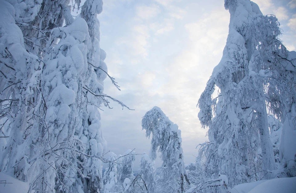    К поиску пропавших туристов в Пермском крае присоединились волонтеры Николай ОБЕРЕМЧЕНКО