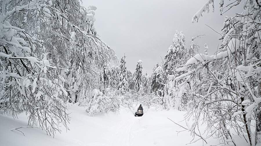    Фото: РИА Новости/Владимир Астапкович