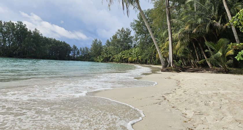    Автор фото - Анна Ефимова