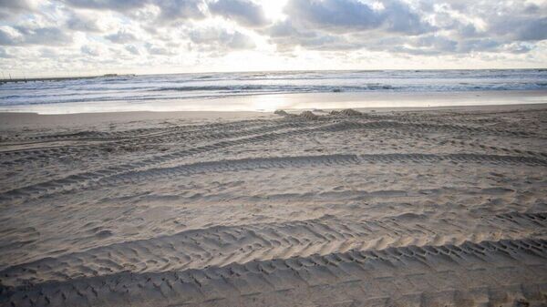    © Telegram_канал: мэрия Анапы