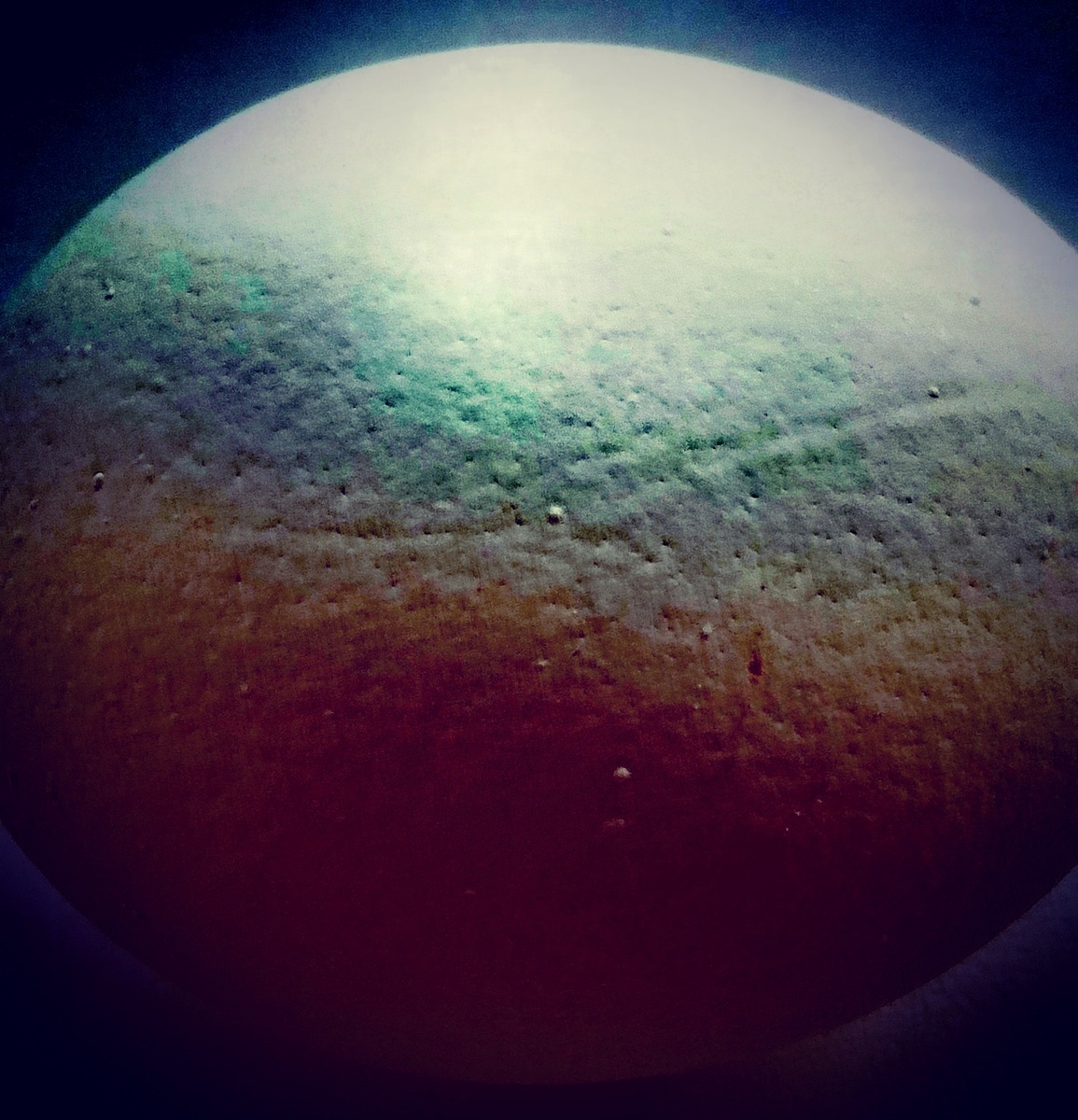 Фото автора. Загадка №1.