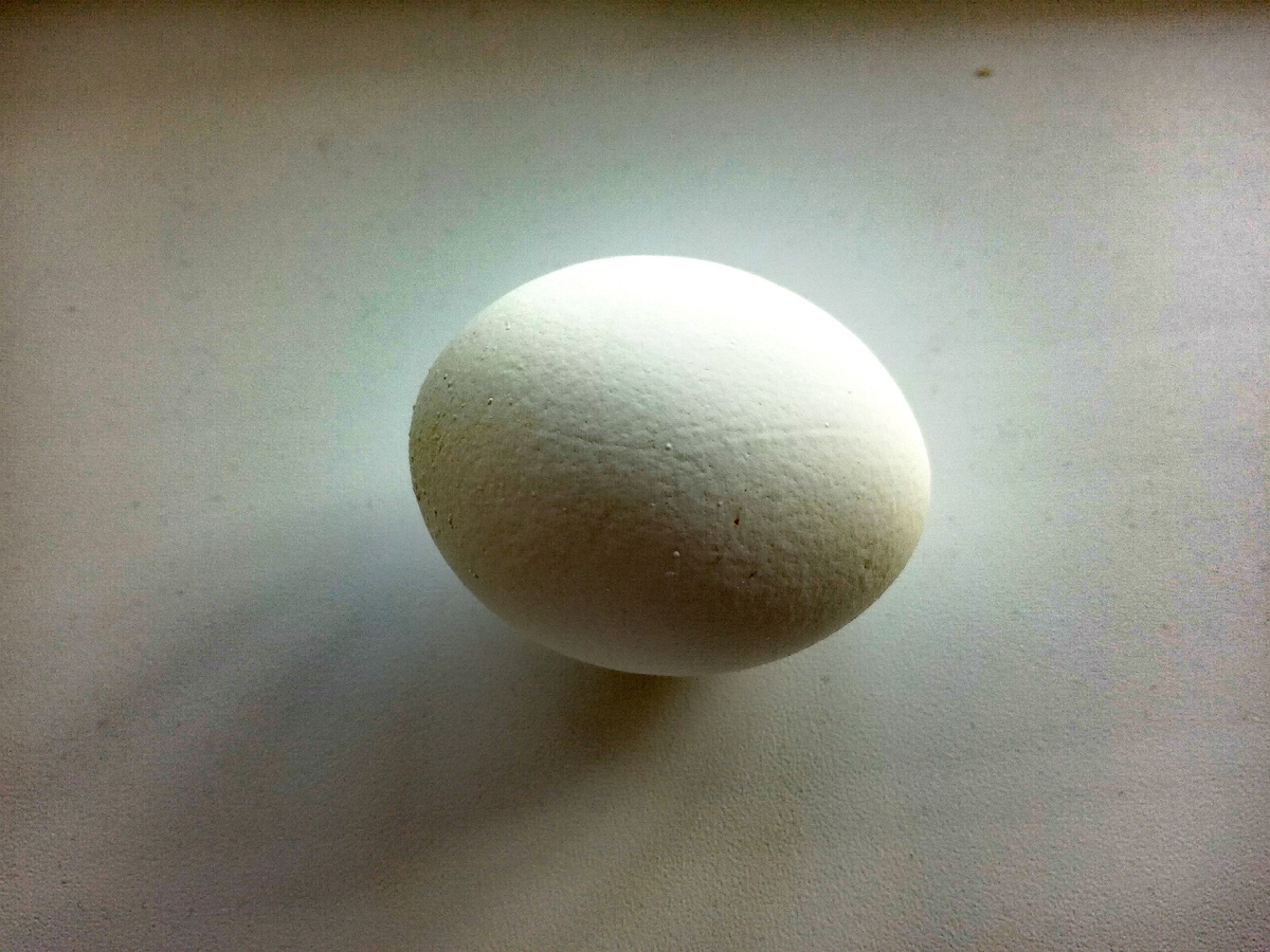 Фото автора. Куриное яйцо из магазина.