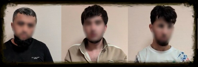 В Щелково перед судом предстанут четверо мигрантов из Средней Азии и Закавказья. Но Арсения Ерошевича не вернуть.