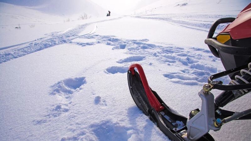    Фото: Natasha-Aleksandra/Shutterstock/Fotodom