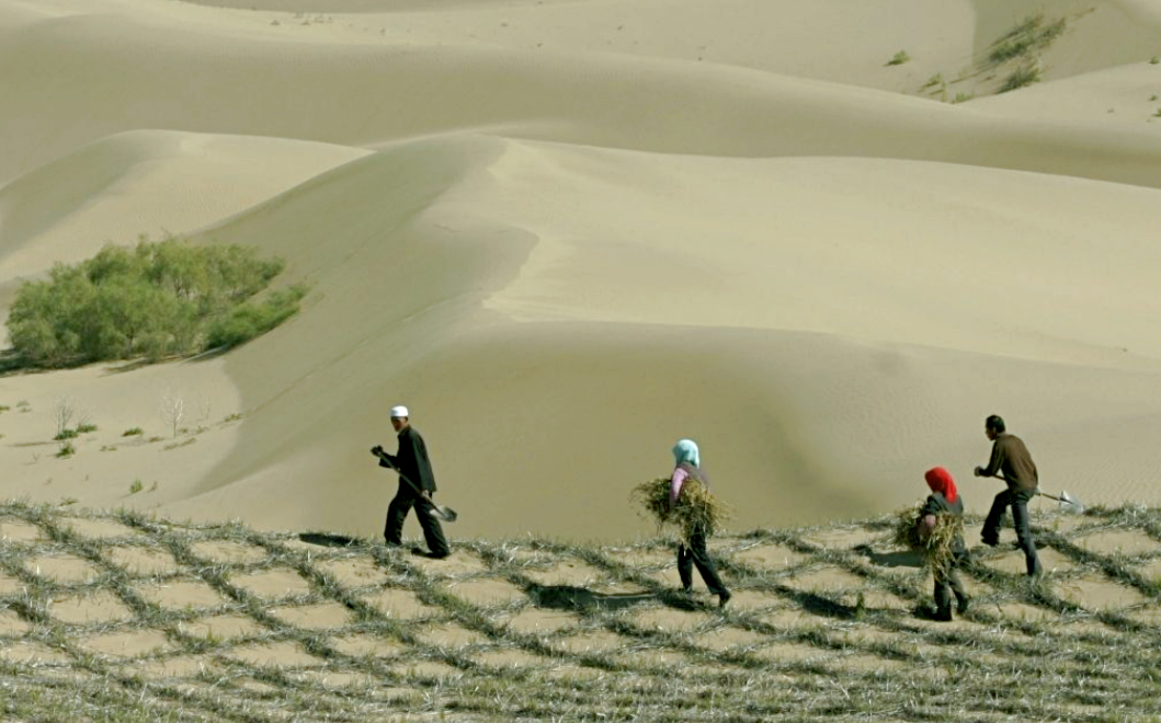 Решетки в Гоби, источник фото: travelask.ru