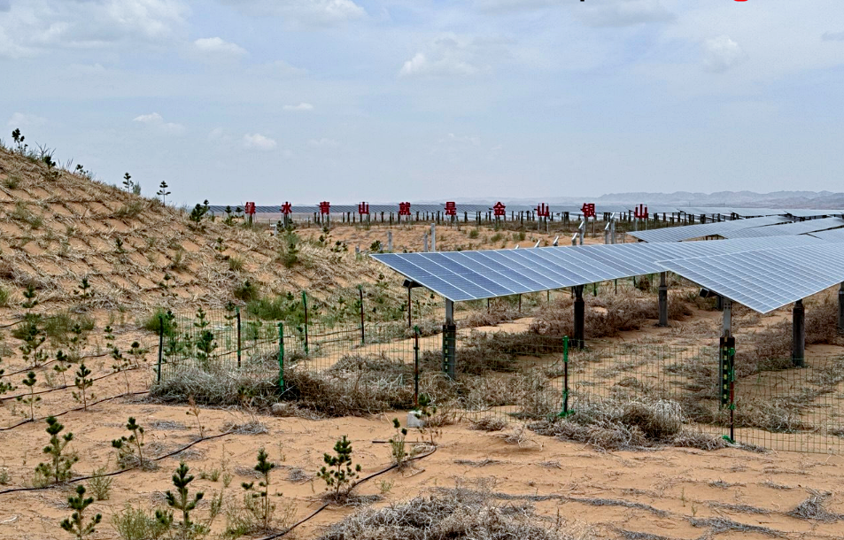 Снимок: podrobno.uz