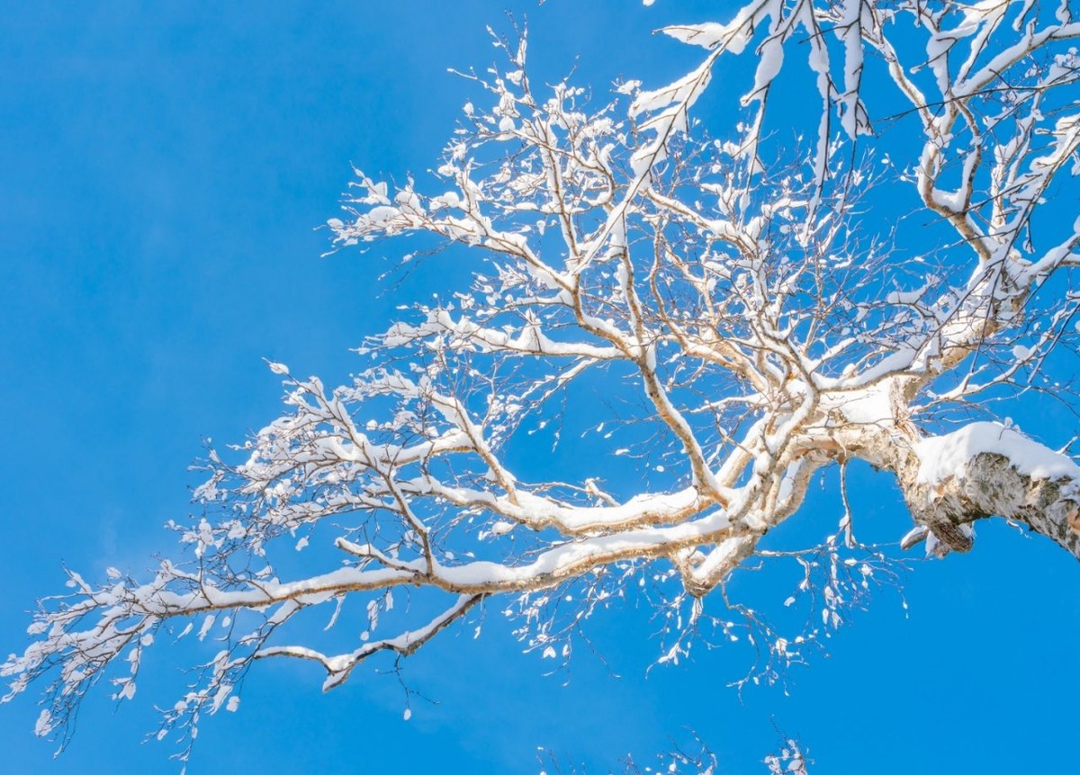     Изображение от jannoon028 на Freepik