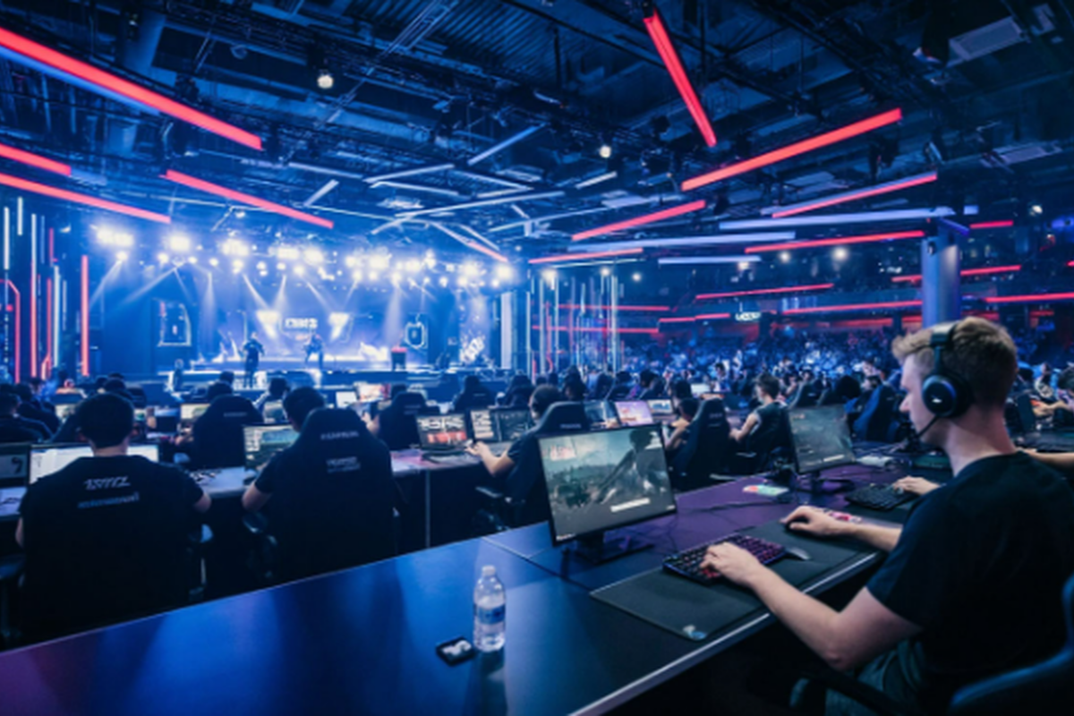    Фото: Коллаж RuNews24.ru