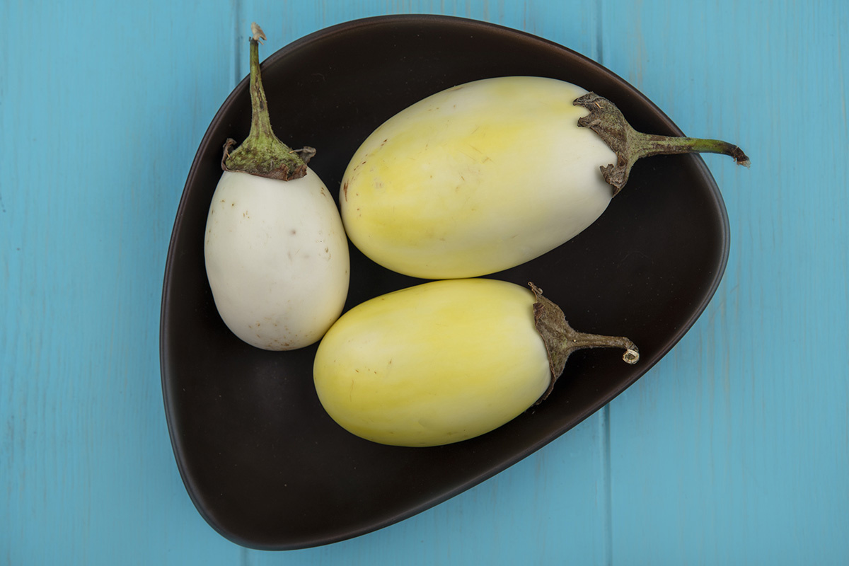    Фото: Stockking / Freepik.com