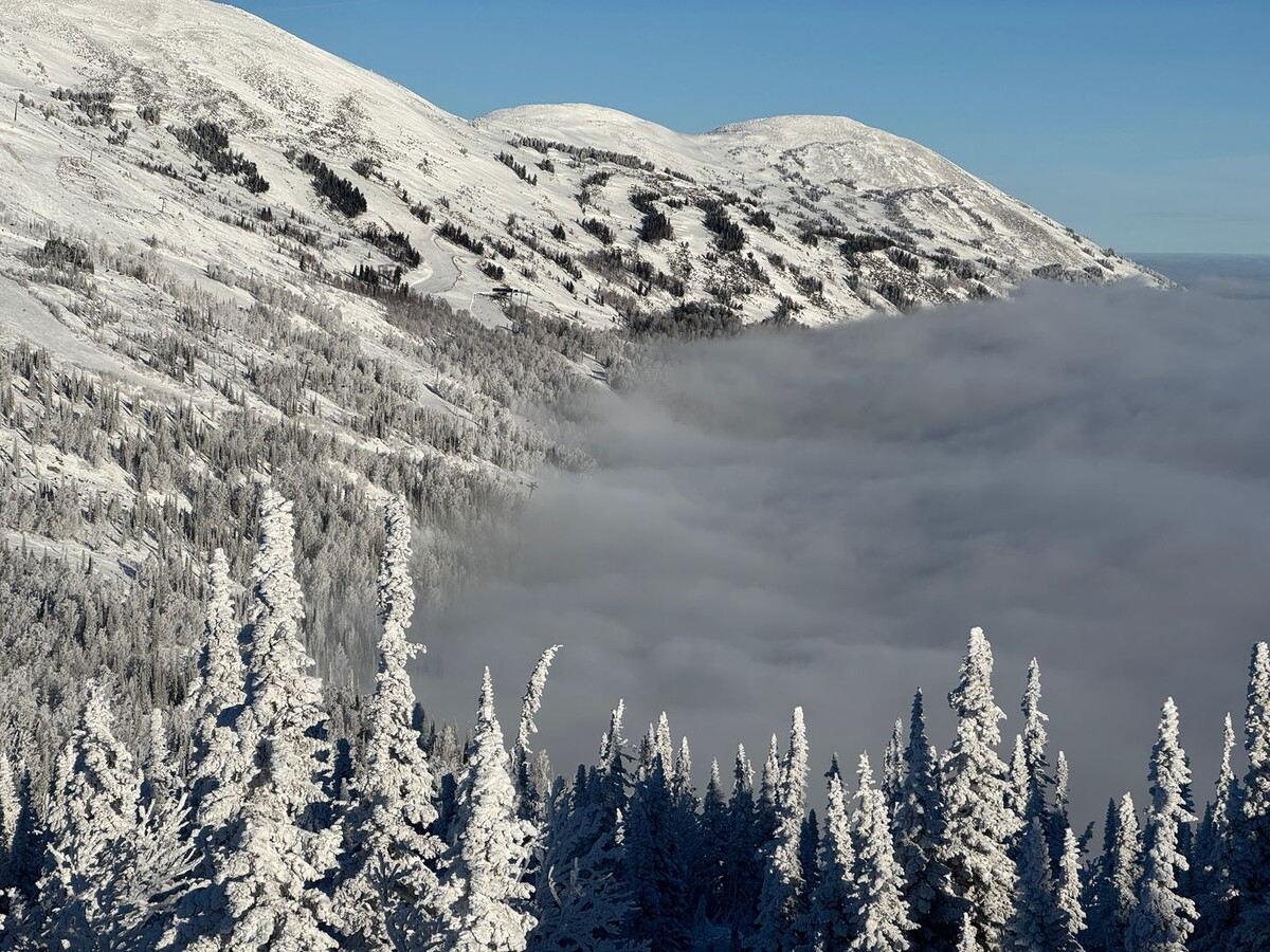     / Источник: © ИЗВЕСТИЯ/Сергей Зимин