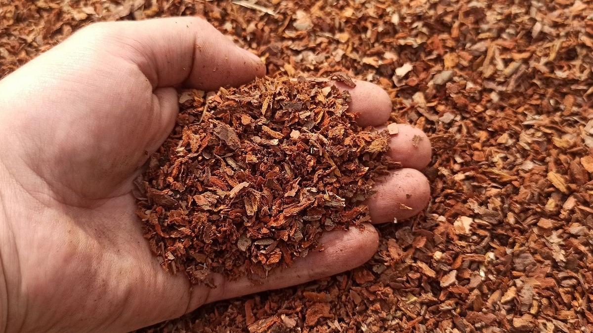 Мульчирование весной: чем закрыть почву в марте, чтобы сохранить влагу и убить сорняки