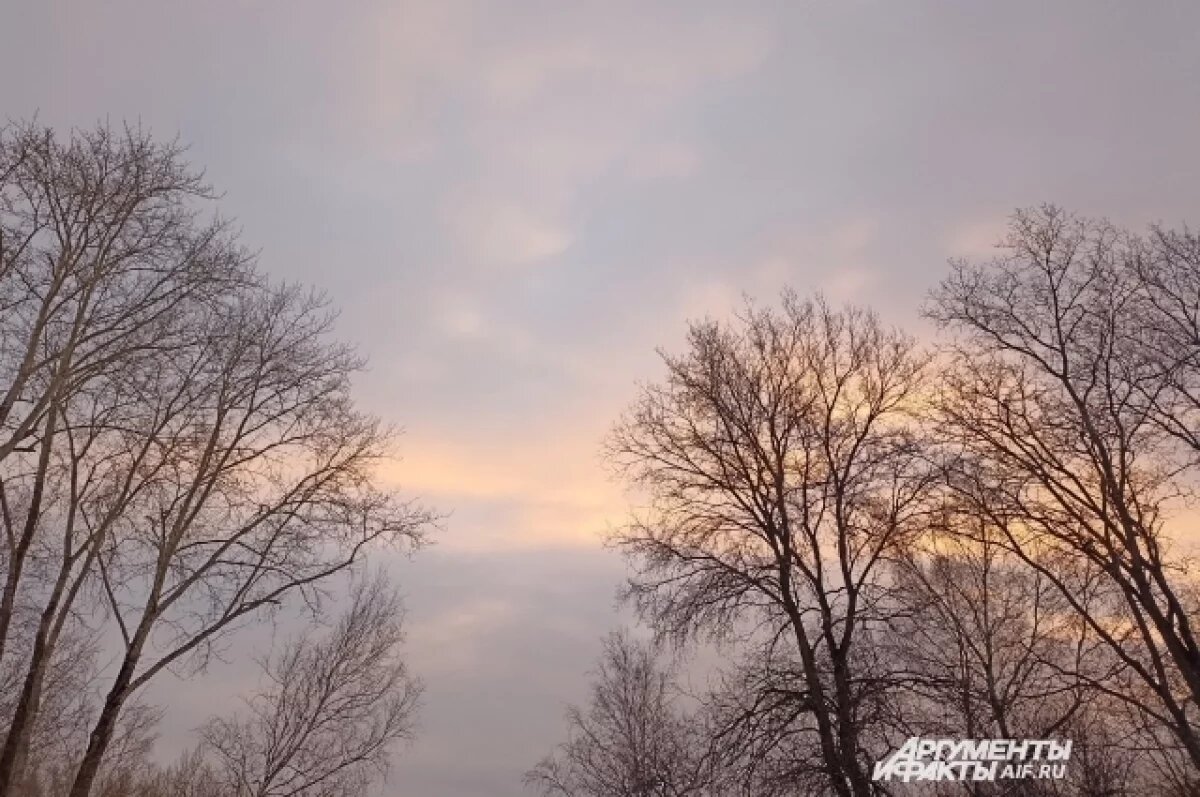    В Минтербезе Прикамья объяснили отличие ракетной опасности от угрозы БПЛА