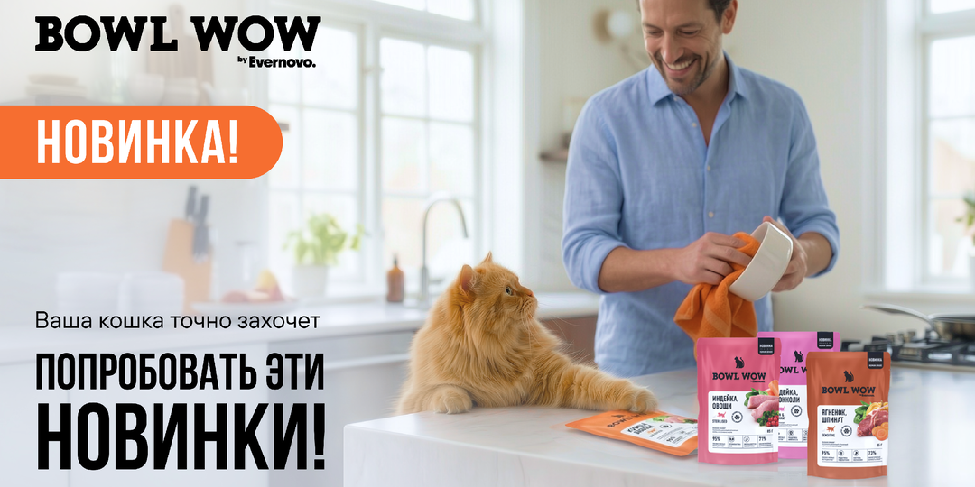 Новинки BOWL WOW для кошек