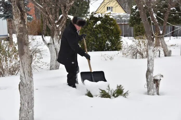    Фото: oblgazeta.ru Михаил Горбунов