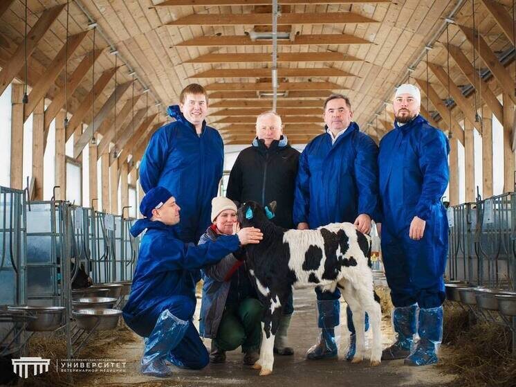     Фото: пресс-служба СПбГУВМ.