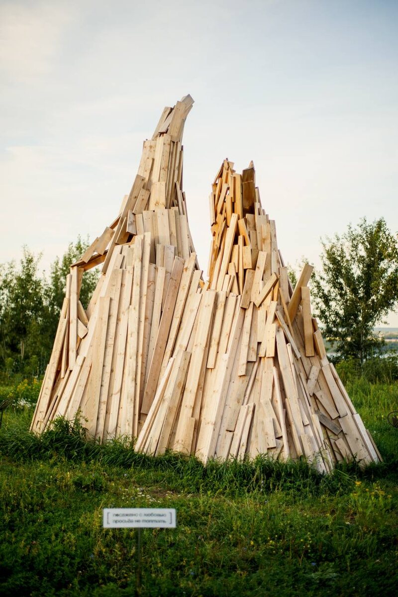 Лиза Савина и проект «Поле»