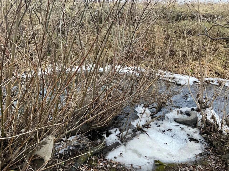 Здесь было найдено тело. Фото: СК