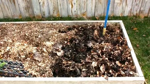 Компостная куча весной: как реанимировать компост в марте для быстрого созревания
