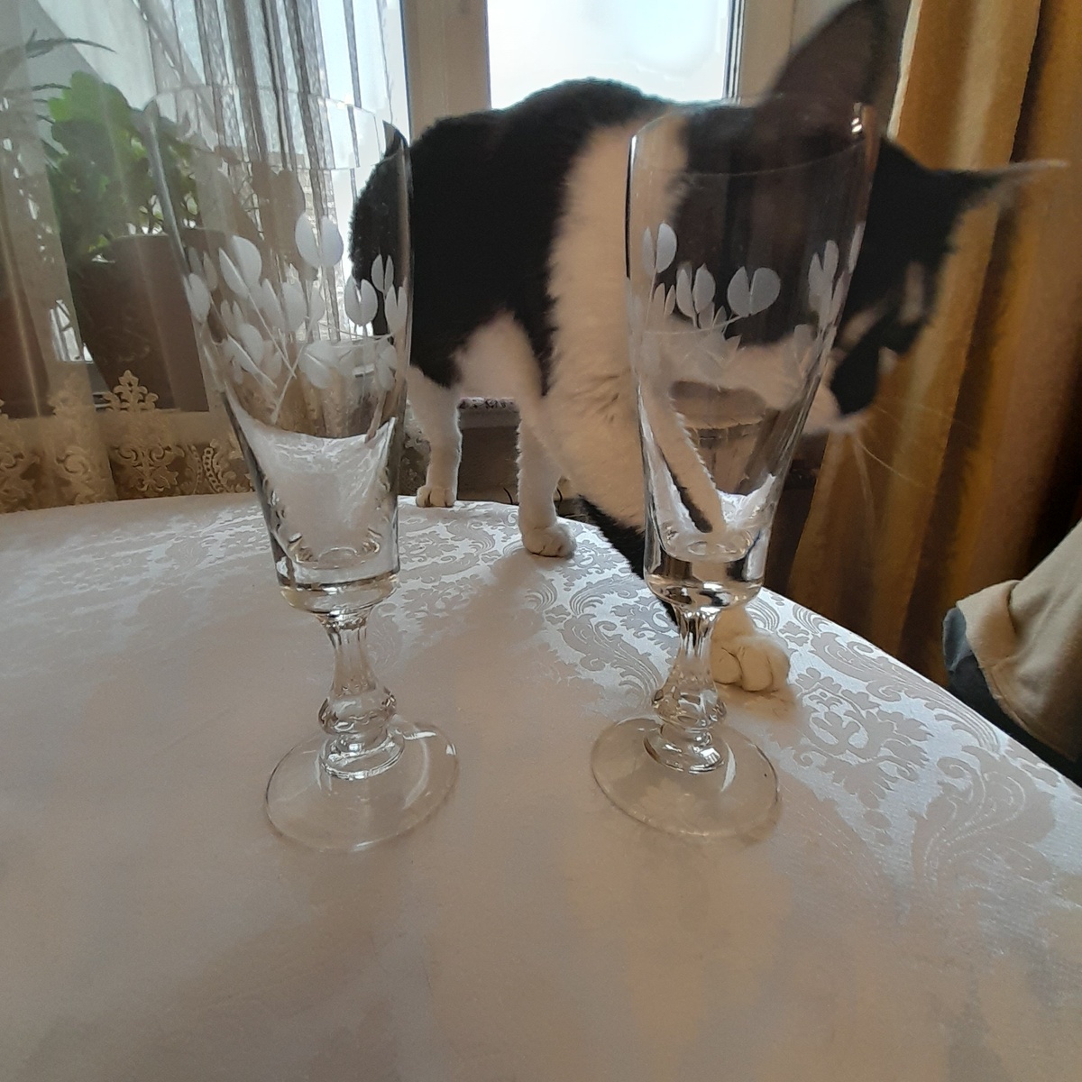 Фото автора. Митя помогает с упаковкой