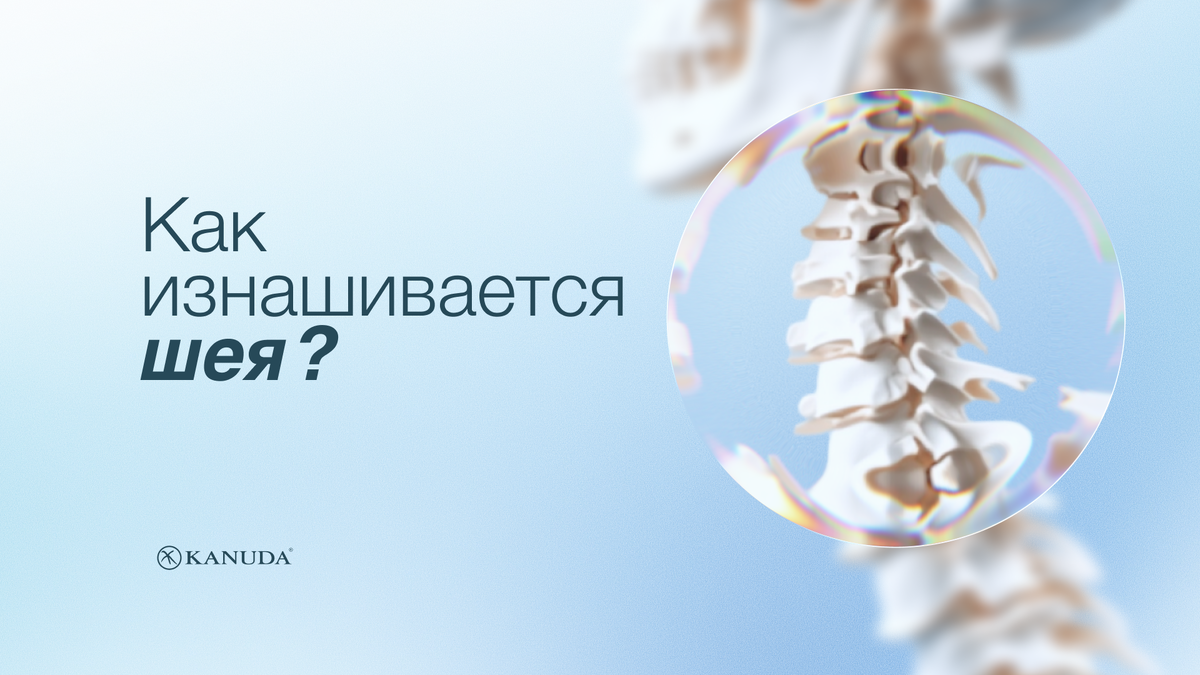 Как изнашивается шея? 