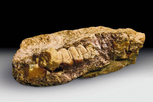 Официальный сайт калининградского янтарного комбината   📷