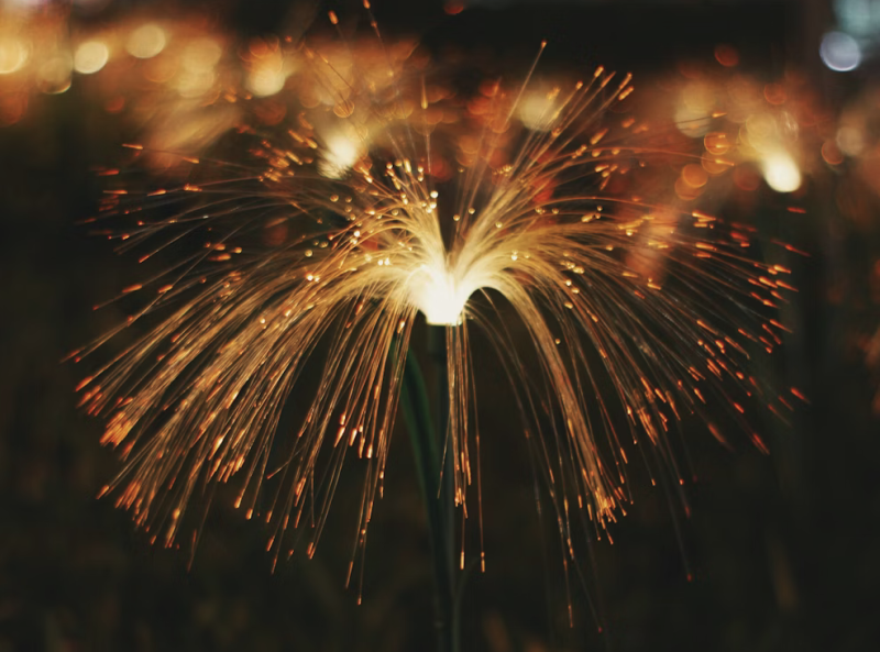    Источник изображения: Shoaib Asif/unsplash.com