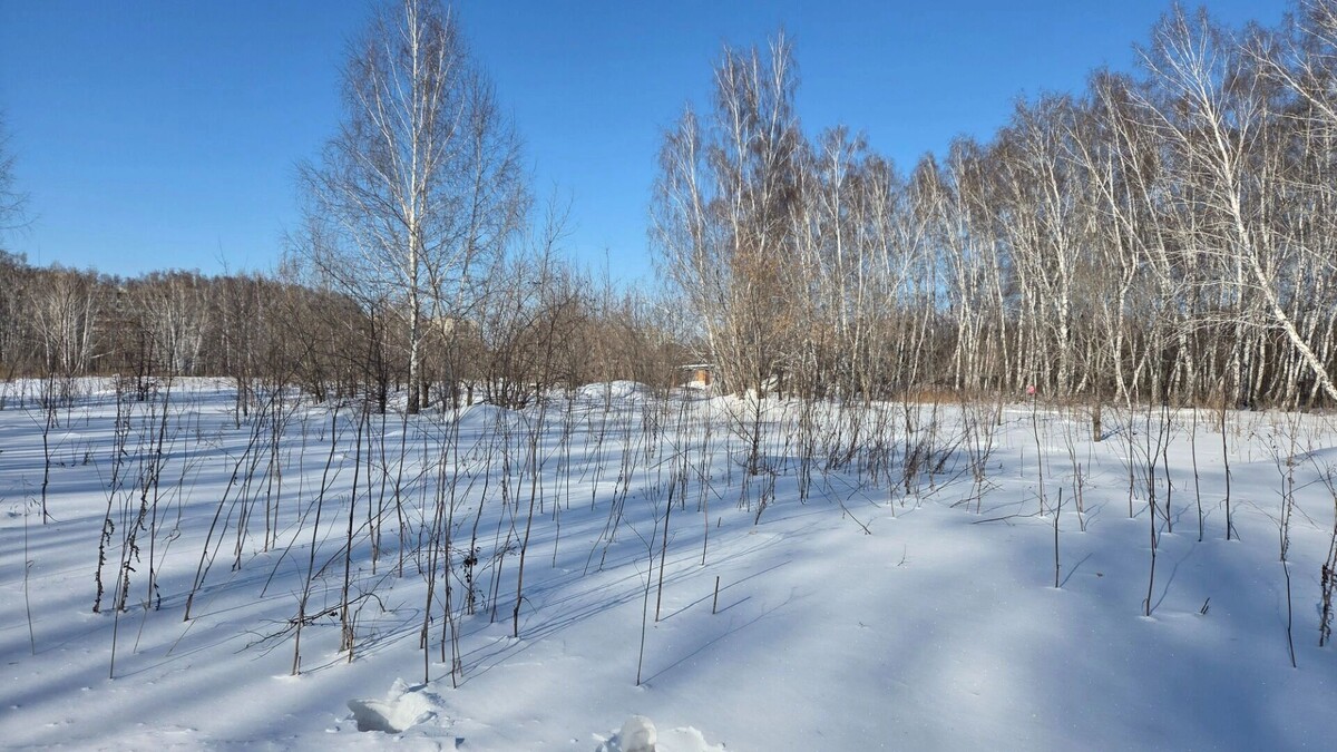    Вид на участок, предназначенный под будущую стройку зала единоборств   Юлия Истомина / gorod55.ru