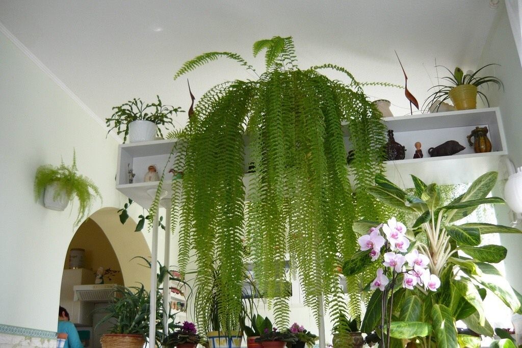 Фотография из интернета