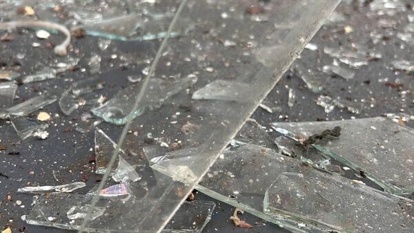    © Telegram Михаил Развожаев