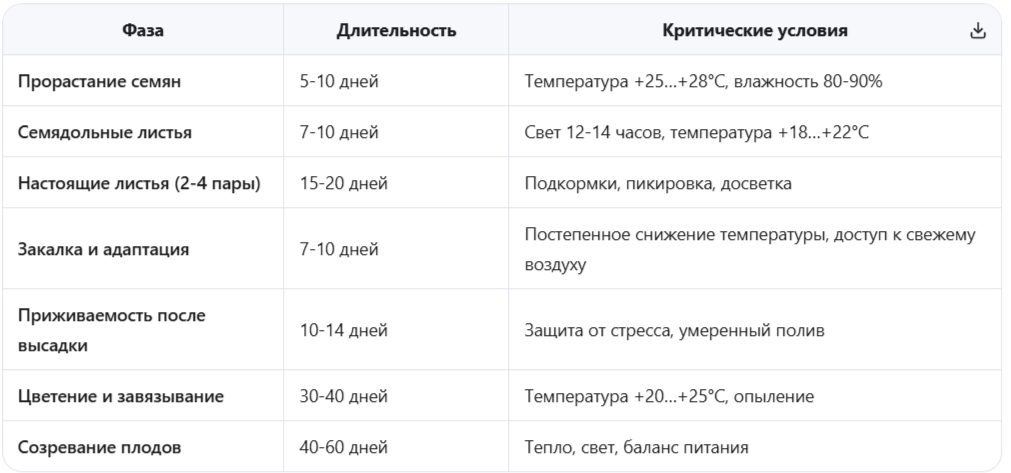 Фенофазы развития томата от семечка до урожая