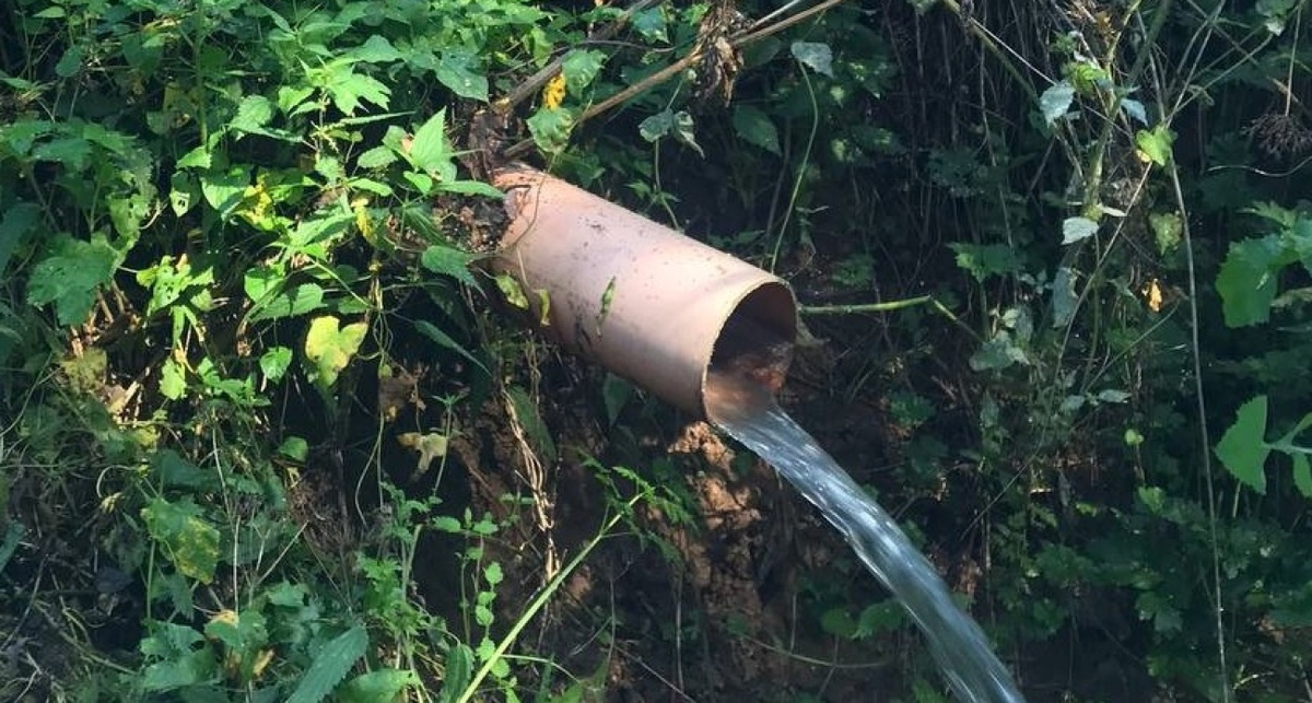    Росприроднадзора