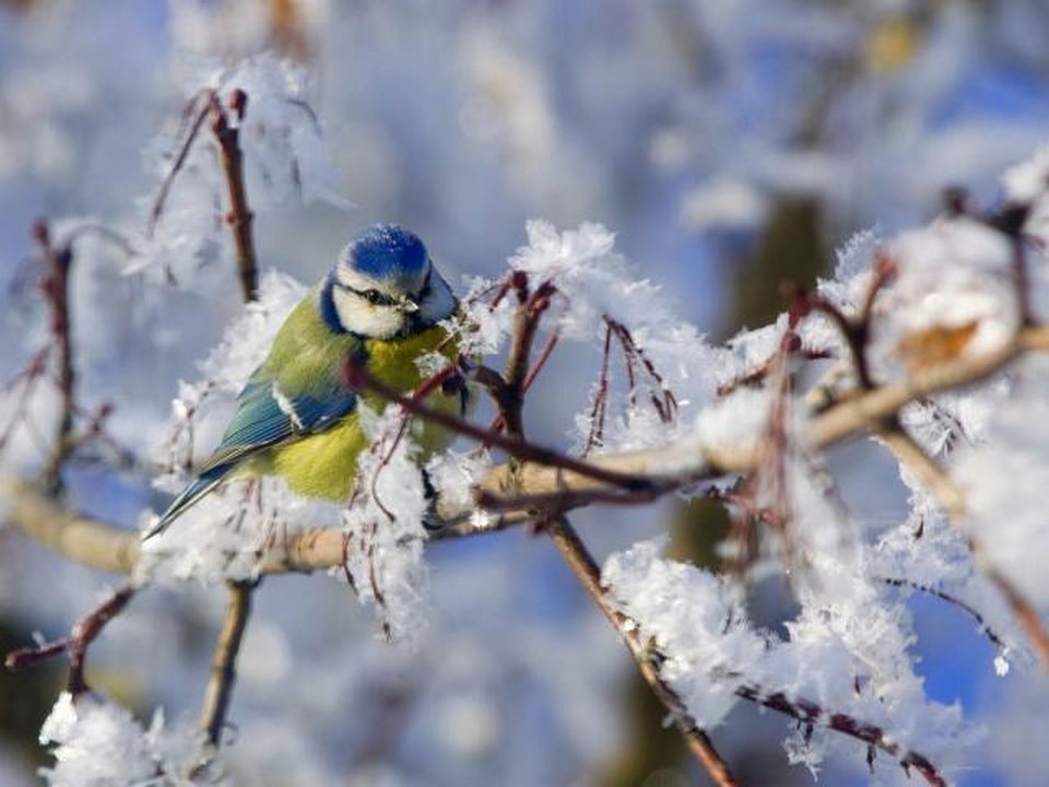 Картинка из сети интернет, спасибо автору.