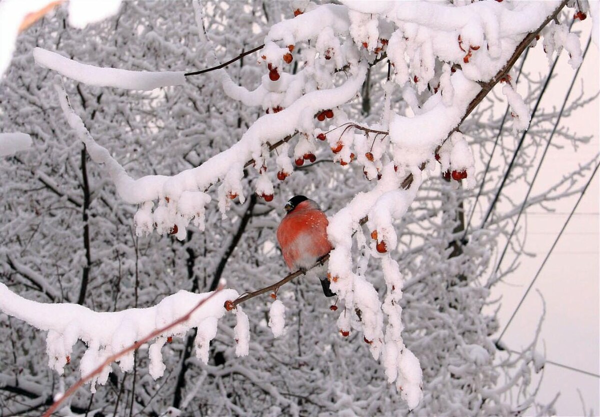 Картинка из сети интернет. спасибо автору.
