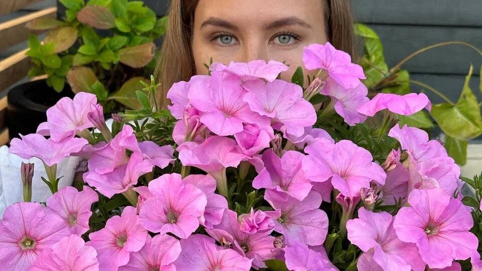 Красивый сад создаётся зимой