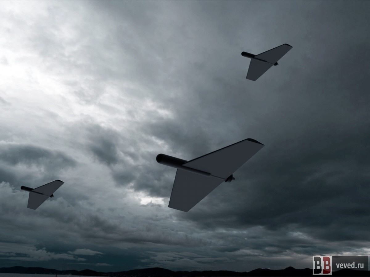     Иллюстрация: Андрей Гоголев / Вечерние ведомости