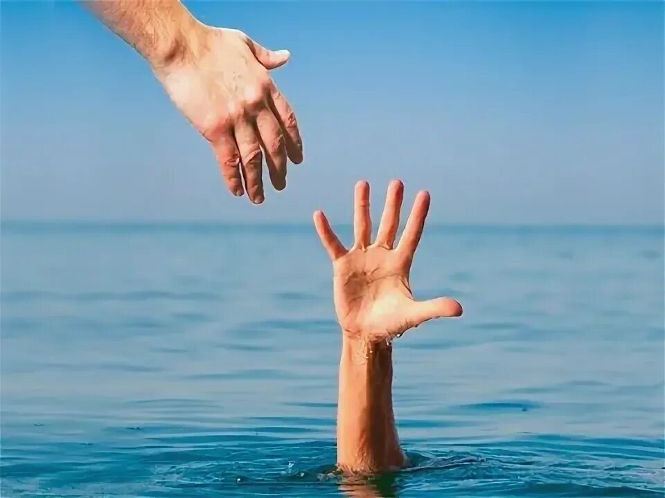 Источник Яндекс. Картинки