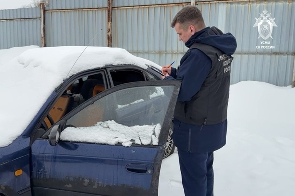    Возбуждено уголовное дело по двум статьям. Фото: ГСУ СК России по Московской области