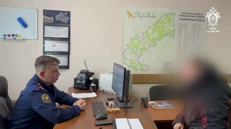    Мужчина признал вину. Фото: ГСУ СК России по Московской области